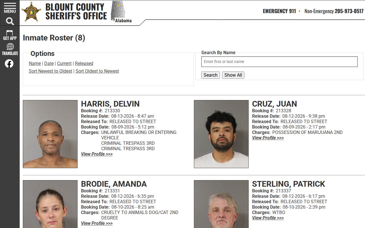 Blount County 48-hour release booking record view